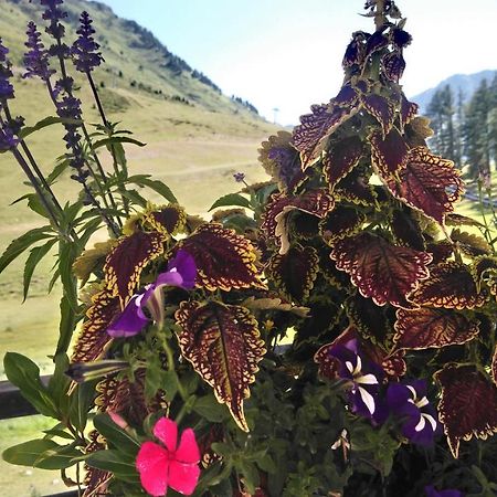 Studio En Pleine Montagne Avec Vue Sur Marmottes ラ・モンジー エクステリア 写真