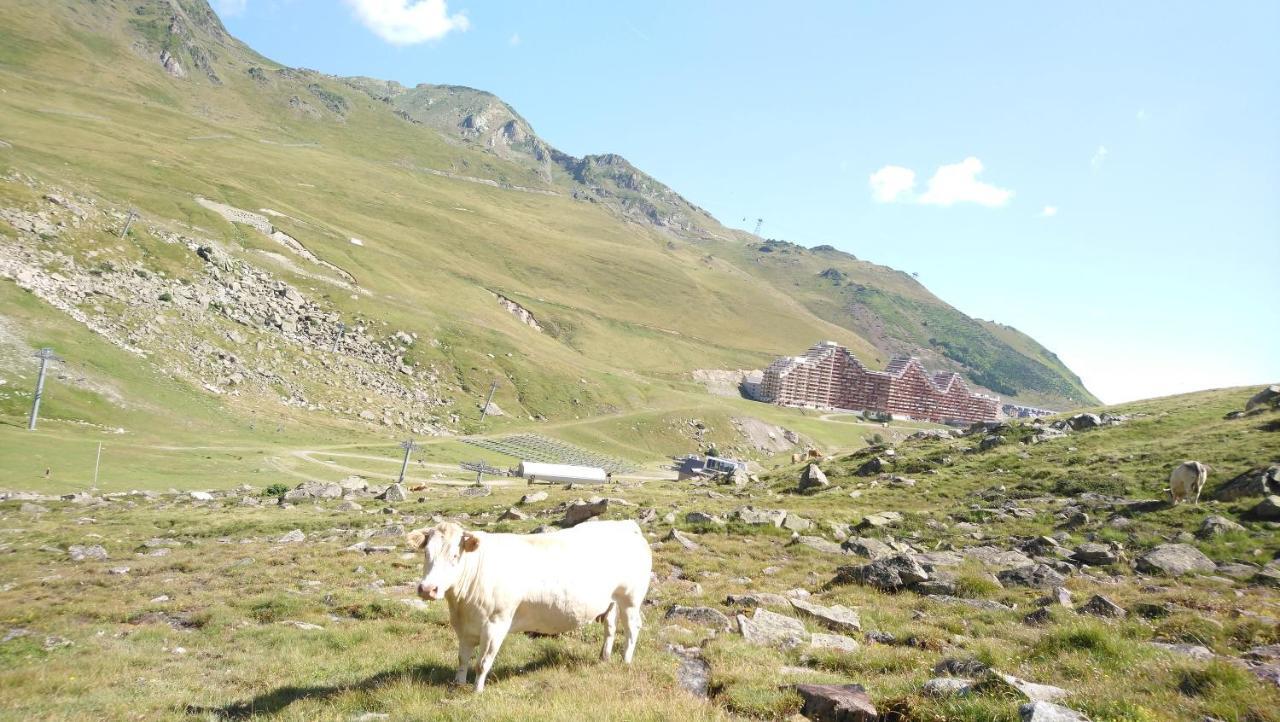 Studio En Pleine Montagne Avec Vue Sur Marmottes ラ・モンジー エクステリア 写真