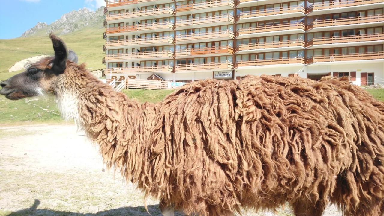 Studio En Pleine Montagne Avec Vue Sur Marmottes ラ・モンジー エクステリア 写真
