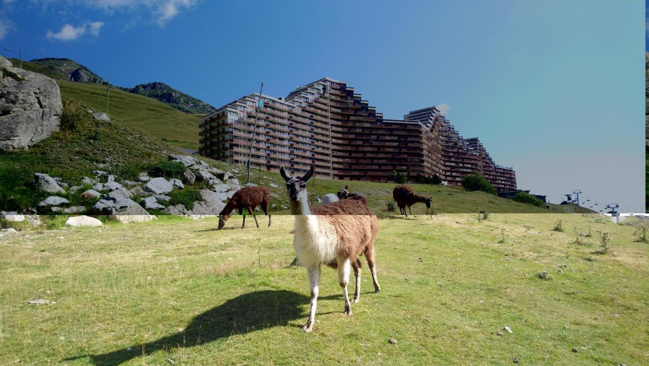 Studio En Pleine Montagne Avec Vue Sur Marmottes ラ・モンジー エクステリア 写真